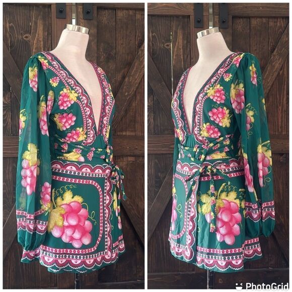 Embroidered Long-sleeved Retro Green Grapes Print One Piece swimsuit with Skirt - Picture 3 of 16